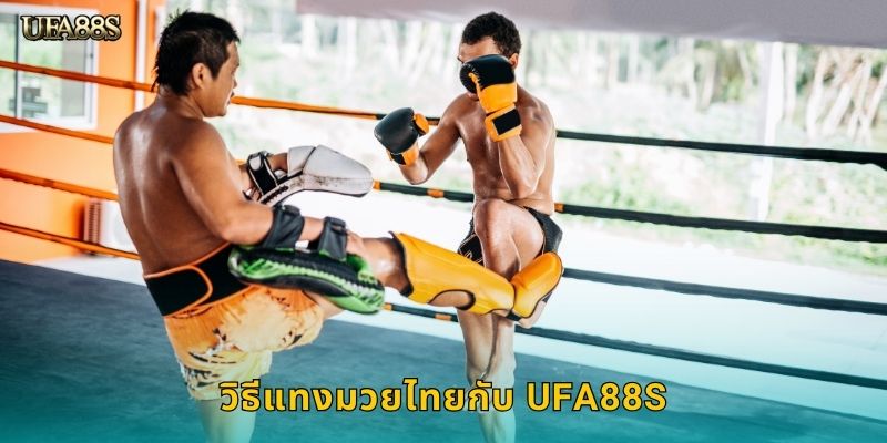วิธีแทงมวยไทยกับ UFA88S